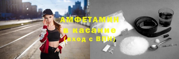 индика Белокуриха